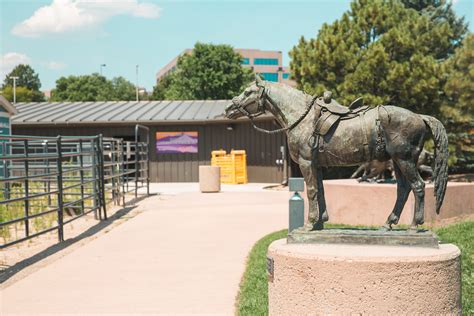 Exhibits - ProRodeo Hall of Fame and Museum of the American Cowboy