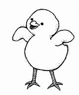 Chick Coloring Page  Best Pages For Kids sketch template