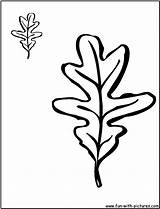 Oak leaf coloring Pages sketch template