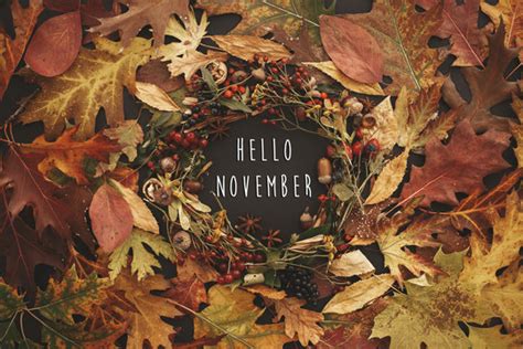 "Hello November" stock photos and royalty-free images, vectors and ...