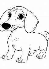 Premium Vector  Dachshund Coloring Page Line Art sketch template