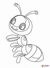 20  Ant Coloring Pages Free Printable PDF & Online sketch template