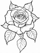 Explore 20  Rose coloring Pages 🌹🎨 Coloringpagesforkidsnet sketch template