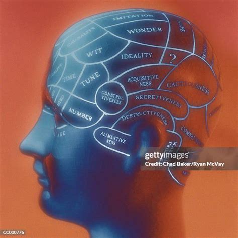 Phrenology Diagram Photos and Premium High Res Pictures - Getty Images