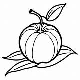 Orange coloring Page With Leaves Lulu Pages sketch template