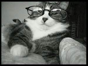 43 Cats In Glasses That Totally Define What Hipster Is