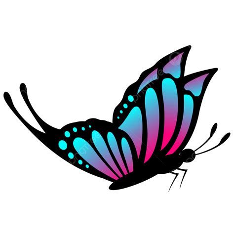 Beautiful Black Butterfly With Blue Gradient Wings, Butterfly Wings ...