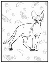 Sphynx Cat Adult Coloring Page Digital  Etsy sketch template