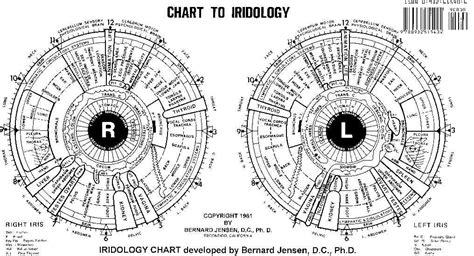 Nlp Eye Chart