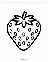 85  Strawberry Coloring Pages For Kids & Adults Free Printable PDFs sketch template