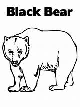 Big Black Bear coloring Page sketch template