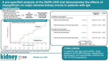 A pre-specified analysis of the DAPA-CKD trial demonstrates the effects of dapagliflozin on ...