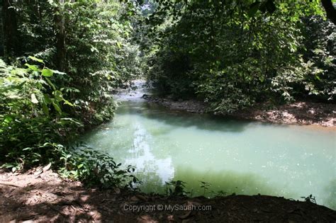 Tawau Hills Park, Sabah, Malaysia Borneo/tawau-hills-park-img_6904