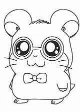Hamster Coloring Pages  Best For Kids sketch template