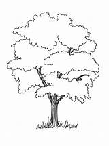 Printable Tree Coloring Page Book Pdf  Riset sketch template