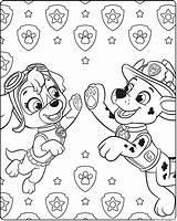 Skye Paw Patrol Coloring Pages To Print sketch template