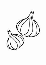 Garlic Coloring Pages  Best For Kids sketch template