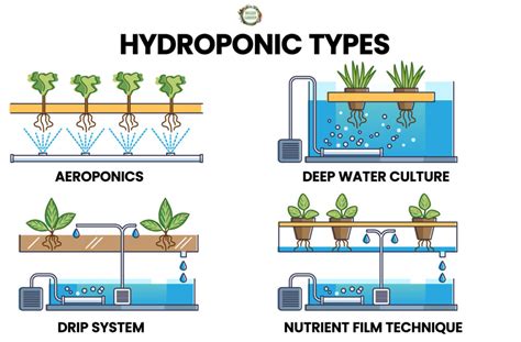 What Is Ebb And Flow Hydroponics? NoSoilSolutions, 43% OFF