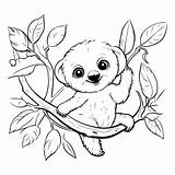 Premium Vector  Cute koala On A tree Branch coloring Book For Children sketch template