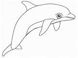 Free Printable Dolphin Coloring Pages For Kids sketch template