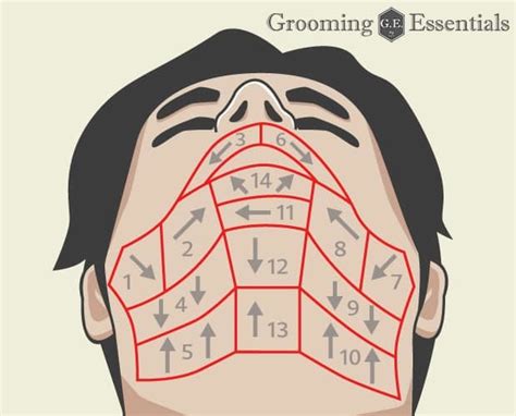 the 14 shave areas & chapter 13 terminology Diagram | Quizlet