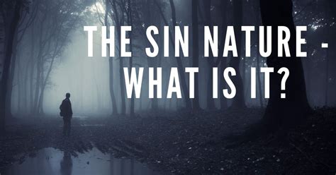 The sin nature - What is it?