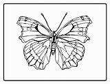 Free Symmetry Coloring Sheets Download  sketch template
