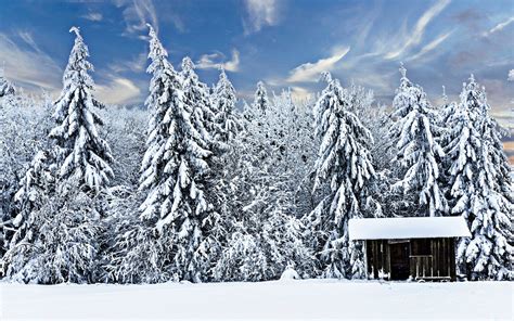 Log Cabin in Winter Forest