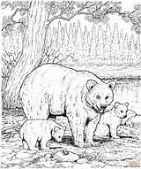 Printable Realistic Animal Coloring Pages sketch template