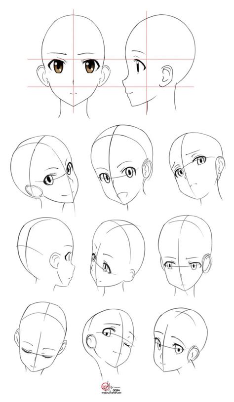 Face Anatomy Drawing Anime | DRAW IT OUT