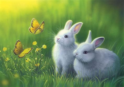 Share more than 160 rabbit wallpaper 4k latest - 3tdesign.edu.vn