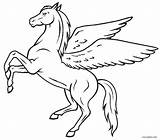 Mlp Pegasus Coloring Sheets Pages sketch template