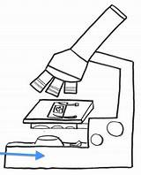 Microscope Coloring Page sketch template