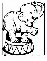 transmissionpress Circus Elephant Coloring Pages sketch template