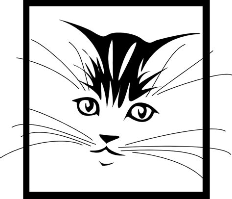 free cat clip art | Free Stock Photo: Illustration of a kitten face. Face Drawing, Face Art, Cat ...