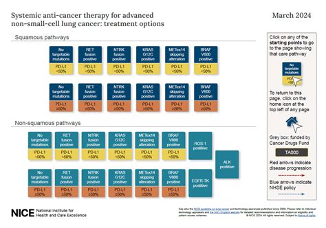 Overview | Lung cancer: diagnosis and management | Guidance | NICE