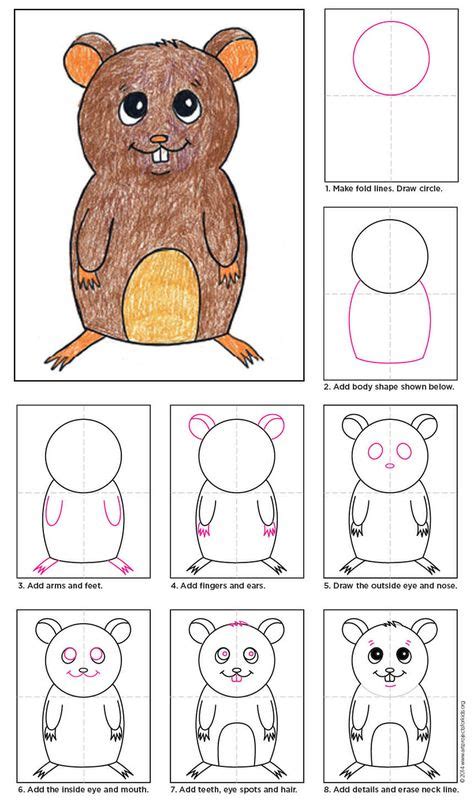 How to Draw a Hamster | Drawing for kids, Cartoon drawings, Art projects