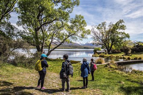 Lake Alexandrina - Mackenzie Region, New Zealand