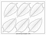 6 Leaves Of Wych Elm Template  Free Printable Papercraft Templates sketch template