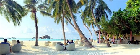 Sea Of Stars Maldives Glowing Beach At Vaadhoo Island - Travel Inn Tour