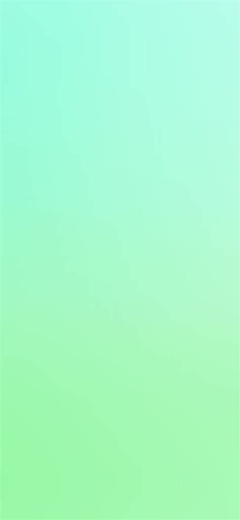 84 Background Green Pastel For FREE - MyWeb