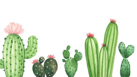 cactus wallpaper for computer | Watercolor desktop wallpaper, Plant wallpaper, Computer ...