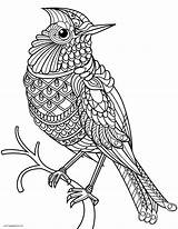 70 Zentangle Animal Coloring Pages  ColoringPagesOnlycom sketch template