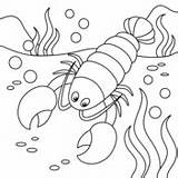 Lobsters coloring Pages  Free Coloring sketch template
