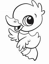 Printable Duck Coloring Pages sketch template