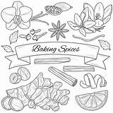 Herbs And Spices Printable Coloring Pages Sketch Page sketch template
