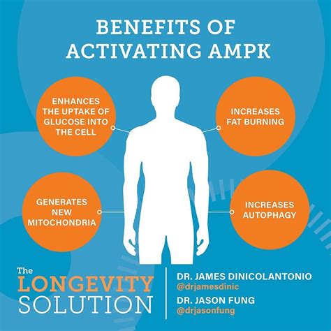 James DiNicolantonio on Instagram: “AMPK is an enzyme that when activated has a broad range of ...