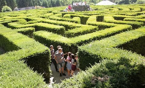 Leeds Castle Has the UK's Best Hedge Maze and Much More Too (5 stars ...