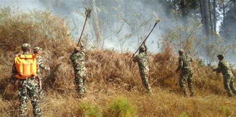 Nepal’s forest fires - CIFOR Forests News