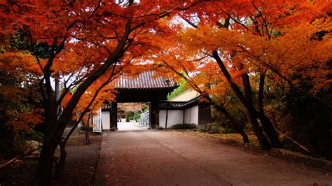 Japan City Autumn Wallpapers - Wallpaper Cave